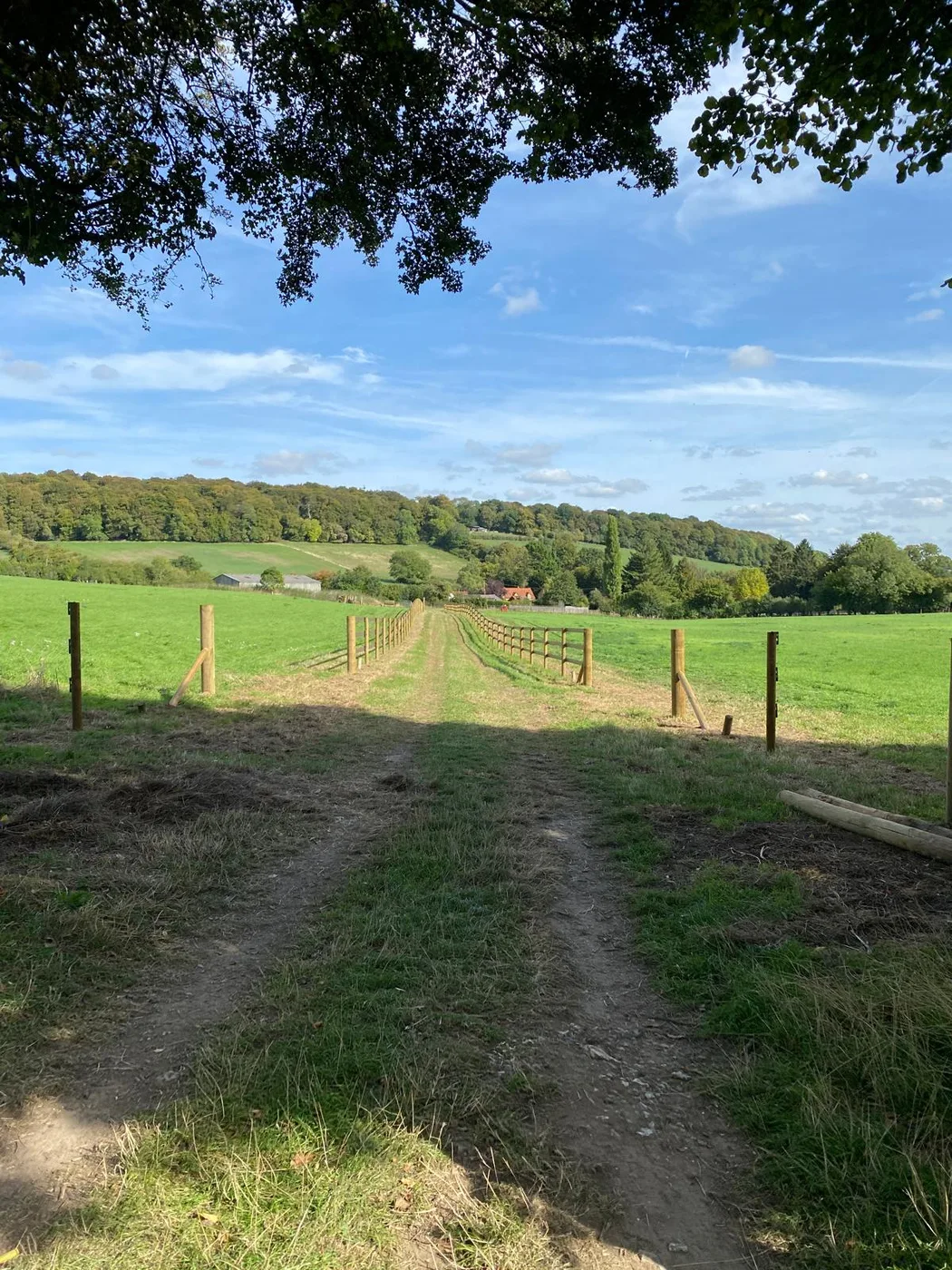 A grass track runs between new post and rail fencing across a field towards a wooded hillside