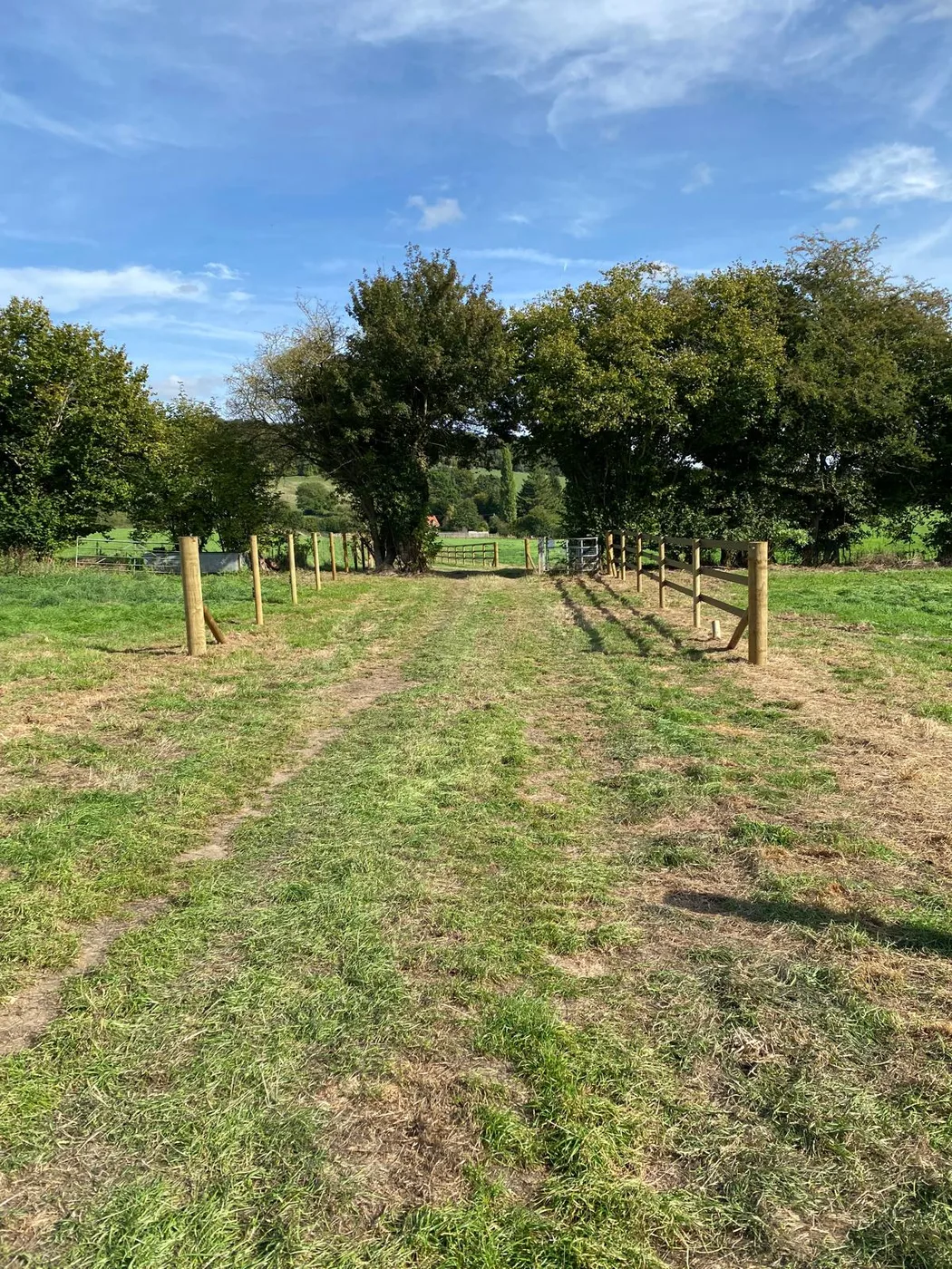 A newly fenced grass field with a line of trees beyond, under a blue sky